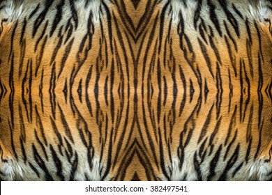 Tiger Skin Texture.