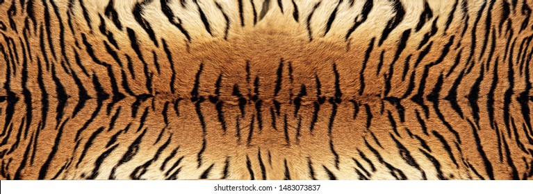 Tiger Skin Texture - Image