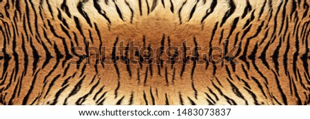 Tiger skin Texture - Image