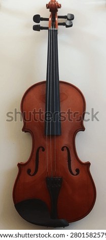 Tight crop top view of a classical wooden violin body without a bridge, instrument repair and maintenance concept.