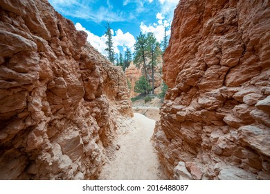 Tight Squeeze Through Canyon Walls Along The Queens Garden Trail