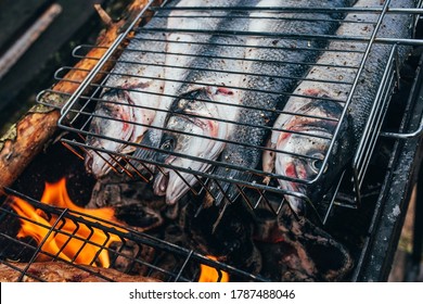 Tightly Lying Seabass Fish On The Grill - Fish Feast