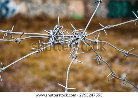 Tightly tangled barbed wire forms a menacing security barrier, its sharp barbs deterring entry. A stark symbol of restriction and exclusion