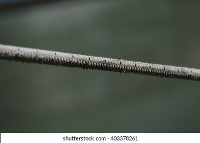 tightrope
