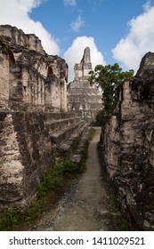 Tikal National Park In Guatemala