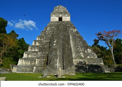 Tikal National Park Maya Temple Guatemala 