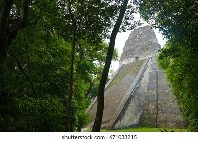 Tikal National Park UNESCO Site In Guatemala