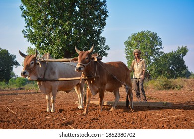 479 Farm mechanization in india Images, Stock Photos & Vectors ...