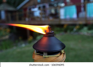 Tiki Torch Flame