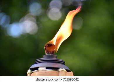 Tiki torch flame at evening.