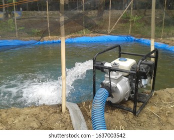 Tilapia And Catfish Pond Made From Plastic Tarp In Farm Land Area. 