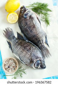 Tilapia Fish