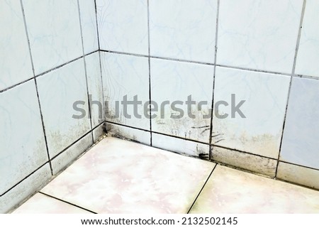 tile in corner of bathroom has dirty stains, old wall and floor tiles have mold stains, cracks and scratches
