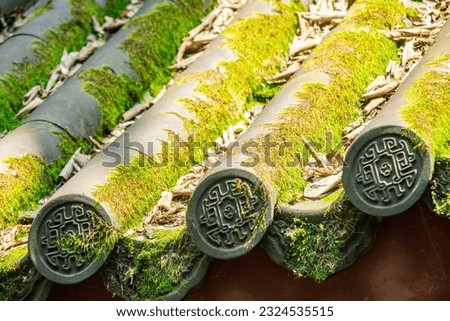 The tile and roof covered by moss in Lingyin temple.  A Buddhist temple of the Chan sect located north-west of Hangzhou.
One of the largest and wealthiest Buddhist temples in China.
