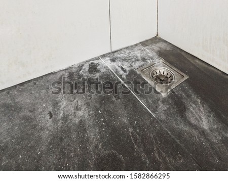Tile walls and grout with White Soap Scum that needs to be cleaned with bleach and scrub the floor or wall of the bathroom, shower in the apartment or house