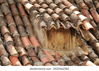 Tiled rooftop in Omiš with rustyback plant (Asplenium ceterach) inbetween (Dalmatia, Croatia).