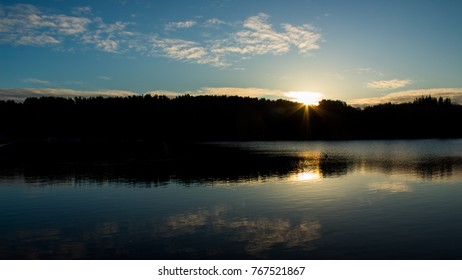 Tilgate Park, November 30th: Sunrise Over The Treeline Across A Lake.