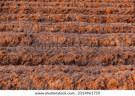 Till the soil. Prepare the soil for sowing. Rows of furrows in fields are plowed in preparation for planting crops. Brown soil. Area for agriculture. farm