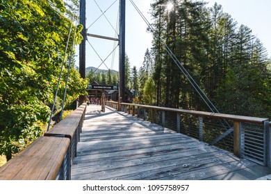 86,182 Forest center Images, Stock Photos & Vectors | Shutterstock