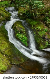 Tillman Ravine, Delaware Water Gap, New Jersey