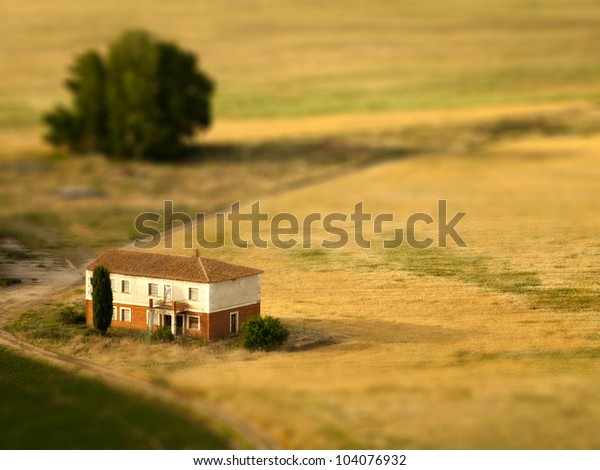 A tilt\
shifted country house on a cereal\
field