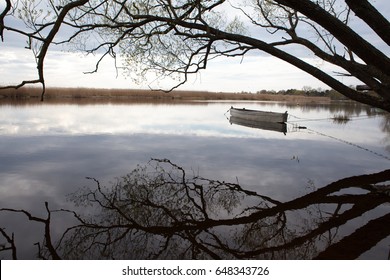 Tilted Tree Over The Water And Lonely Row Boat At Lake With Reflection In The Water, Beautiful Nature Landscape. Wooden Fishing Boat