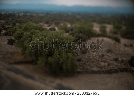 Tilt-Shift View of Green Trees and Dry Hillside with Ancient Terraces Near Teotihuacan