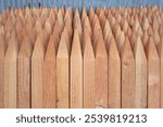 timber pile、wooden pile、wooden stake、Lined timber