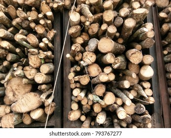 Timber background abstract