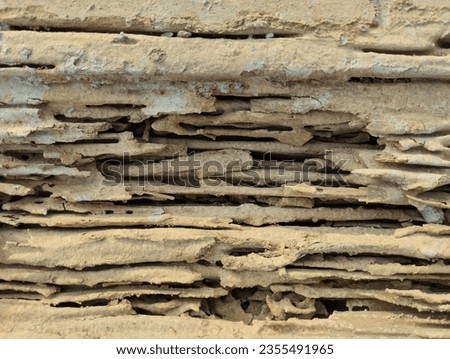 Timber beam of door damaged by termite infestation. The wood door damage from termites. Background image traces of wood that is have been consumed by termites. A close-up view the traces by termites