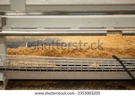 Timber being processed into engineered wood products