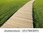 Timber boardwalk through the green grass lawn. landscape design element.