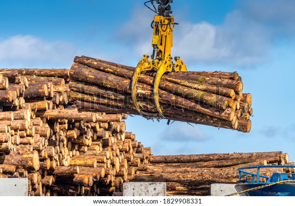 Timber export or import, loading on cargo ship in\
Wicklow commercial port or harbour in Ireland. Transport industry.\
Close up on wood logs\
gripple