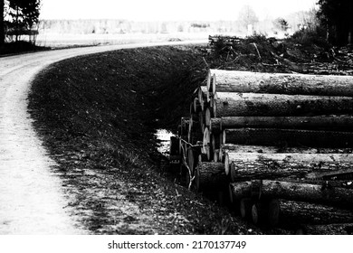 timber logs in ditch near forest road