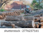 Timber logs waiting for processing, stacked in foreground with an agricultural tractor visible in the blurred background