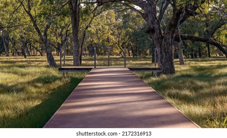 A Timber Platform Over The Sapphire Wetlands Reserve Stretching Out Into The Trees. Sapphire Queensland Australia.