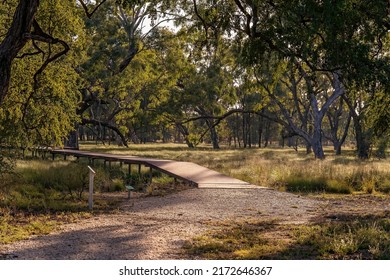 A Timber Platform Over The Sapphire Wetlands Reserve Stretching Out Into The Trees. Sapphire Queensland Australia.