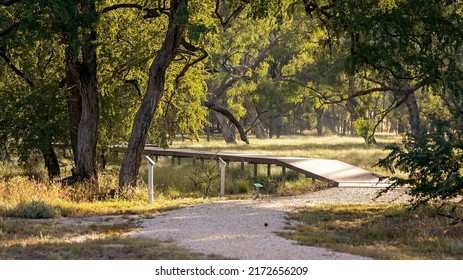 A Timber Platform Over The Sapphire Wetlands Reserve Stretching Out Into The Trees. Sapphire Queensland Australia.