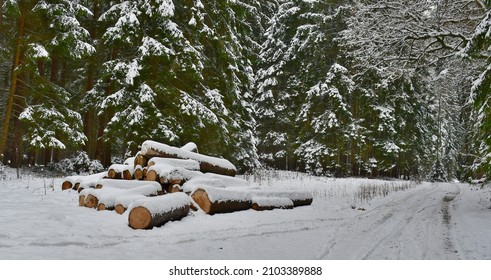 timber ready for transport, South Bohemia, Czech Republic