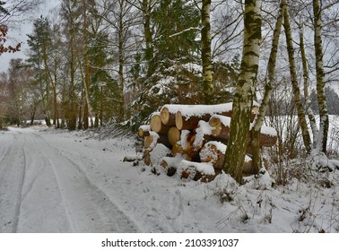 timber ready for transport, South Bohemia, Czech Republic