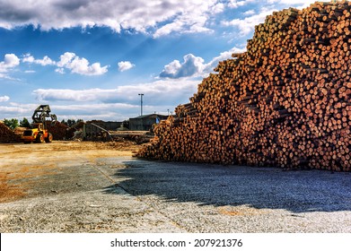 Timber Stacked At Lumber Mill