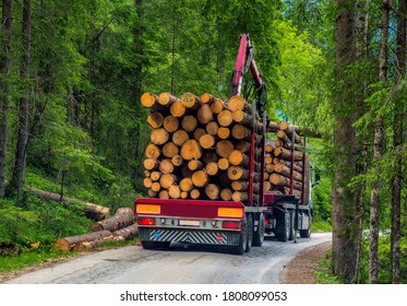 Timber Transport From The Forest In
The  Tiroler Alps  