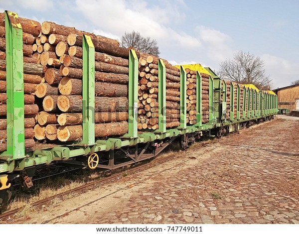 Timber transport on the\
rails