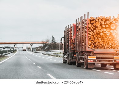 Timber Truck Transporting Logs. Exporting Wood on a Highway with a Trailer Full of Logs. A truck is transporting logs on a semi-trailer on a suburban asphalt highway on a summer day.