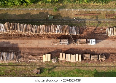 Timber truck unloading a cut trees in at woodworking plant. Transportation raw timber from felling site. Crane loads logs for lumber mill. Warehouse of lumber at woodworking factory.