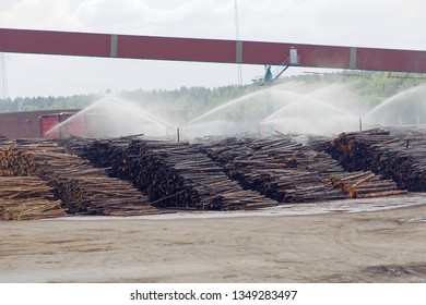 Timber waitiing to be pulp at the pulp and paper mill