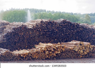 Timber waitiing to be pulp at the pulp and paper mill