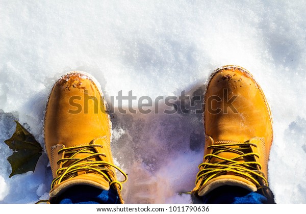 timberlands in snow