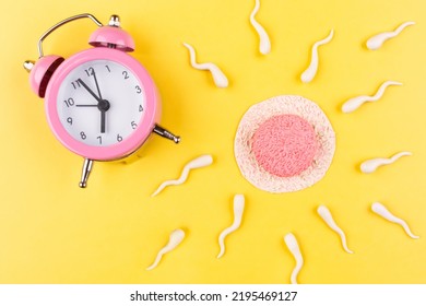 Time For Conceiving A Kid. The Concept Of Ovulation. Egg And Sperm Cells On A Yellow Background. Pregnancy Planning.