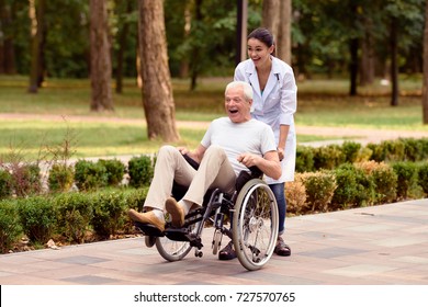Time to fool around. Doctor rolls a happy old man in a wheelchair in the summer park
